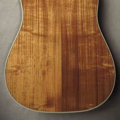 Gibson Ltd Ed Hummingbird Koa 2025 Honeyburst image 6