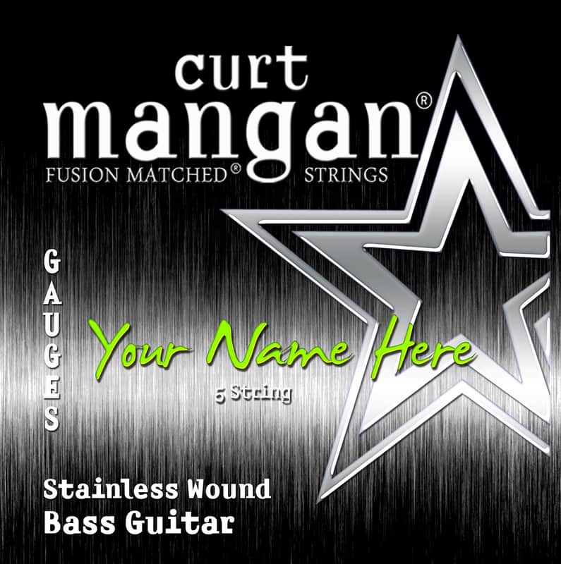 3 X Custom Built 8 String BASS Stainless Steel Signature Set image 1