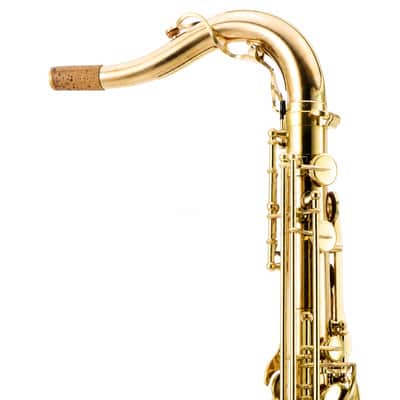 Yanagisawa TWO20 Professional Bb Tenor Saxophone in Lacquered Bronze SN 00399487 image 3