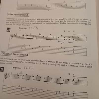 Cherry Lane Blues Rock Riffs for Guitar Tab Training Book w/ CD! 1995 - Red image 5