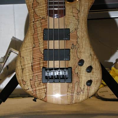 Spector NS-4 #1071    Spalted Maple, Chambered, under 8 lbs. image 1