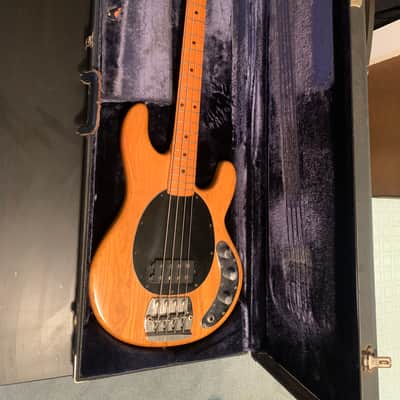 1977 Music Man Stingray image 1