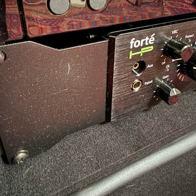 Bergantino Forté D Bass Amplifier image 3