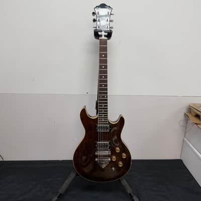 Vintage Ibanez CN100 Electric Guitar Made in Japan 1978 Manley Galaxy M43 Pickups Walnut image 1