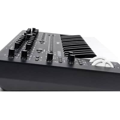 Moog Messenger Monophonic Analog Keyboard Synthesizer [DEMO] image 6