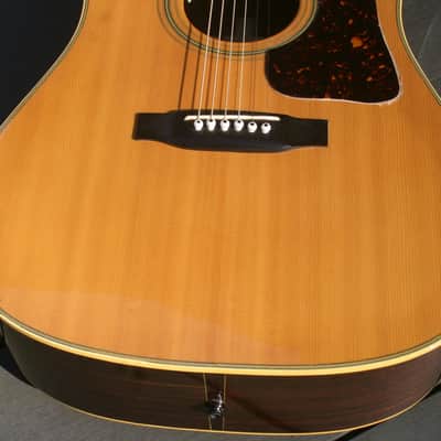 1975 Bluebell W-400, Gallagher Doc Watson style guitar by Fujigen with Under saddle PU by Fujigen, Hoshino Gakki image 16