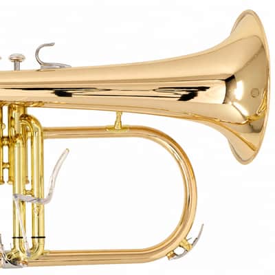 Yamaha YFH-8315IIG Custom Series Professional Bb Flugelhorn in Clear Lacquer SN 473947 image 10