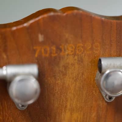 1979 Gibson USA Les Paul "The Paul" - in Walnut Stain image 9