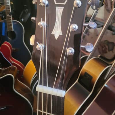 Guild  D-120 Acoustic Electric Guitar w/ L.R.Baqgs HiFi Electronics image 10