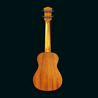 PukanaLa Model PU-NVC Concert Ukulele with Sapele Mahogany Top, Back and Sides image 2