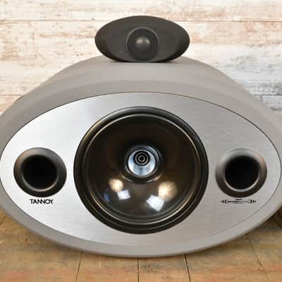Tannoy Pair of Ellipse 8m iDP Master & Slave Monitor Grey Free Shipping image 6