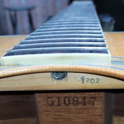 1975 Yairi YW-600 Dreadnought Guitar New Jacaranda Natural+Hard Case image 24