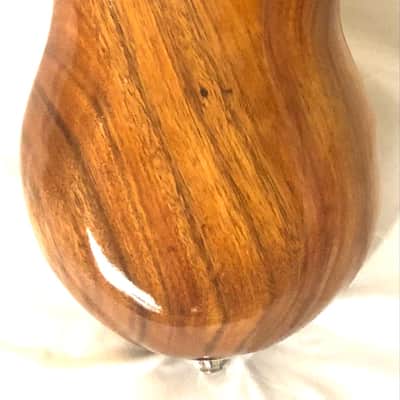 Acoustic/electric dulcimer guitars image 2
