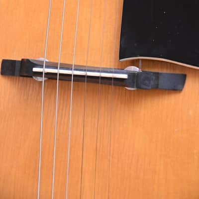 Rodebald Hoyer Jazzstar – 1950s German Vintage Archtop Jazz Guitar / Gitarre image 6