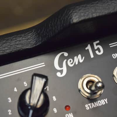 DV Mark DV Gen 15 Silver Generation 15-Watt Tube Guitar Amplifier Head #J9000074 image 14