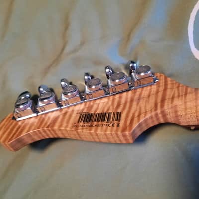 Harley Benton 25th strat neck SS frets, roasted flames, locking keys.. image 1