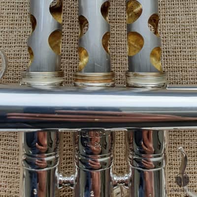 D. Calicchio DT-S1s/3M Dave TRIGG Model | Gamonbrass trumpet image 16