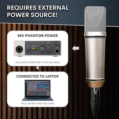 Studio Condenser Microphone, 26mm Gold Large Diaphragm Capsule, Including Foam Filter, Metal Shock Mount, XLR Cable and Mic Bag - for Singing, Vocal Recording and Podcasting image 2