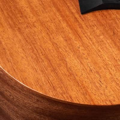 Taylor Baby BT-2 Mahogany image 4