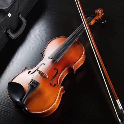 4/4 Violin Full Size Set Spruce Acoustic Violin Fiddle Beginner Kit for Adults Students Kids Teens with Hard Case, Rosin, Shoulder Rest, Bow, Strings, Note Stickers, Mute, Manual, Natural image 2
