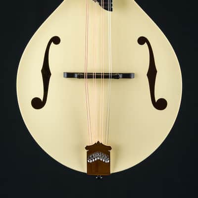 Collings MT Mandola Cream Gloss Top Adirondack Spruce and Flamed Maple NEW image 4