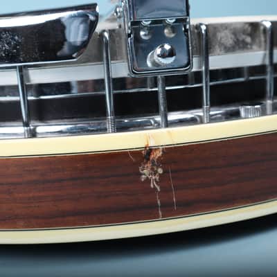 Alvarez Bow Tie Seahorse Deluxe 1970s Banjo - Maple Bild 17