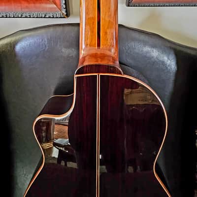 MONTALVO 10 STRINGS CLASSICAL GUITAR CONCERT SERIES GUITAR 2024 - CEDAR TOP image 11