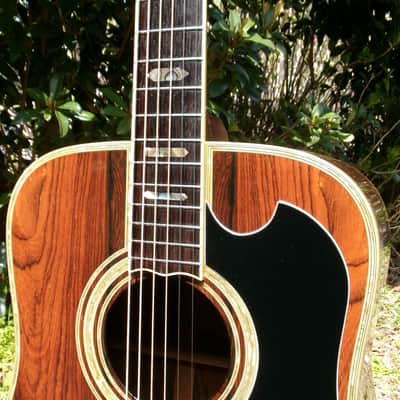 K.Yairi YW-800G B. Rosewood Jacaranda Japan Vintage Grammer Guitar Style 1979 image 3