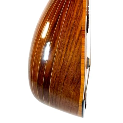 G. Kasermann Concert Mandolin (Apus Mark) 1920’s image 8