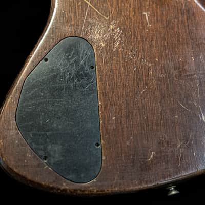 1965 Gibson Firebird Non-Reverse P90  Omar Kent Dykes COA image 2