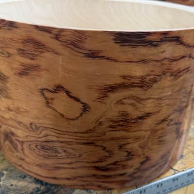 BUBINGA exotic wood and Maple 5 pcs shell set - 5 ply core shells - Clear gloss polished BEST OFFERS ACCEPTED! image 4