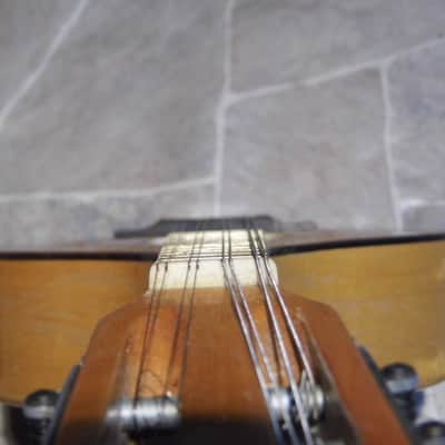 fine vintage solid 8string teardrop MANDOLIN DREIMA Markneukirchen Germany 1950s image 10