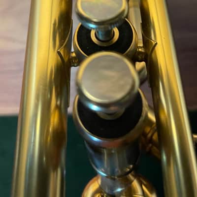 Adams A1 Gen 1 Brushed Lacquer image 6