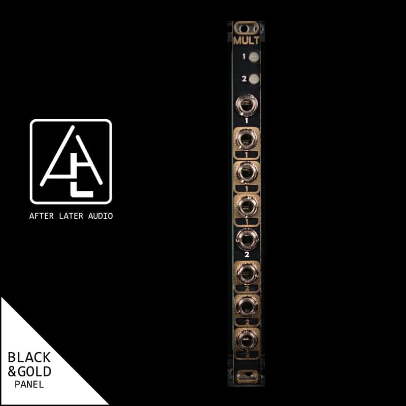 AFTER LATER AUDIO MULT : BRAND NEW :  [DETROIT MODULAR] image 1