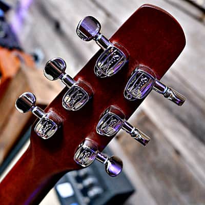 Seagull Entourage Dreadnought - Autumn Burst image 15
