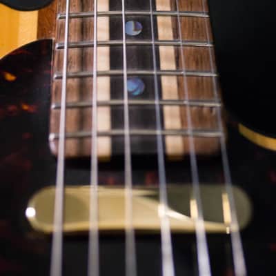 Fender Custom Shop Telecaster 2000 Aztec Leo [One-of-a-kind Masterbuilt] [Jose Guerrero] image 12