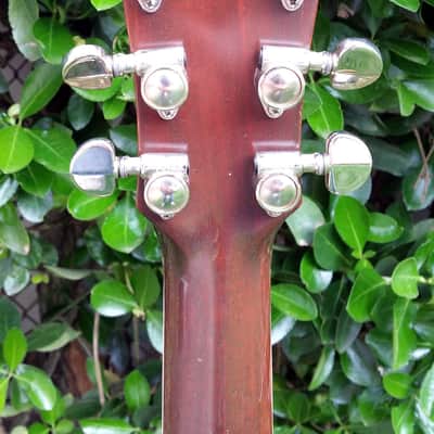 One-of-a-kind Mossman Guitar - 1980 Sunburst Great Plains Custom Built image 11