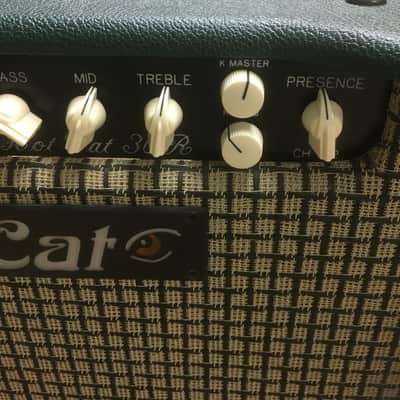 Bad Cat Hot Cat 30R 30-Watt 1x12" Guitar Combo with Reverb image 15