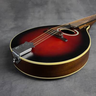 J. Reynolds JRMAN20 A-Style Mandolin image 20