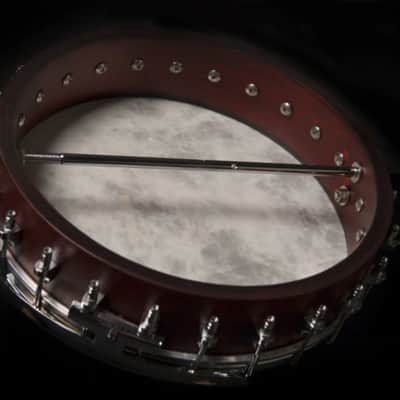 Washburn B6 Banjo image 4