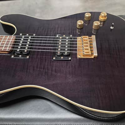 ESP Telecaster Custom Shop TE HH Fender Headstock Troublemaker LP 4-Knob MIJ Japan Tele Mahogany Body Maple Cap Pro Artist Vintage Guitar Deluxe Abalone Dot Inlays image 14