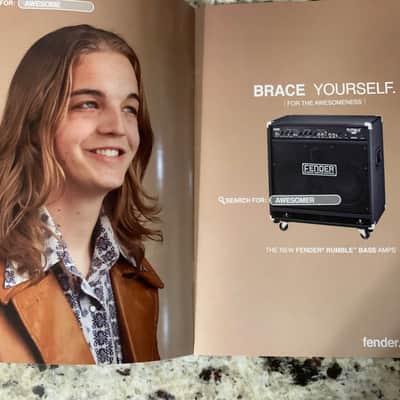 Fender Rumble Bass Amp Brochure 2010 image 5