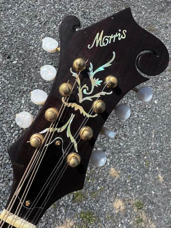 Morris MF-600 Vintage F-Style Mandolin MIM Japan 1970s+/- | Reverb