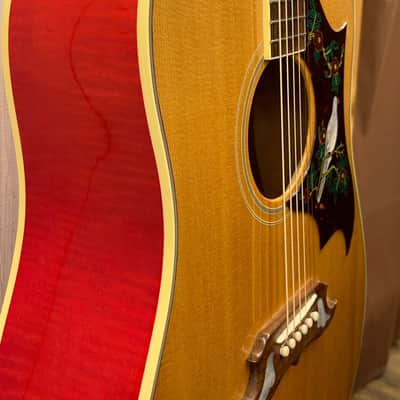 Gibson 2024 DOVE Original (Doctor Sound Stock Item) image 4
