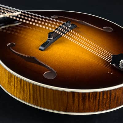 Collings MT2 Mandola Sunburst Adirondack Spruce and Flamed Maple NEW image 14