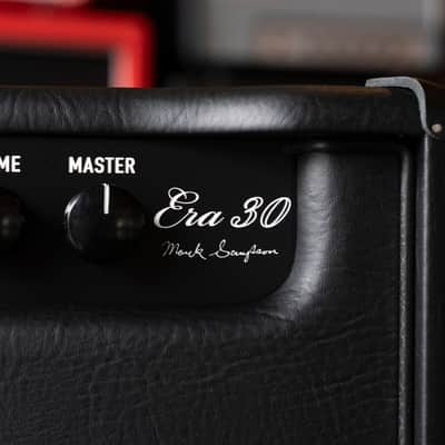 Bad Cat Era 30 30-Watt Tube Amplifier Head image 5