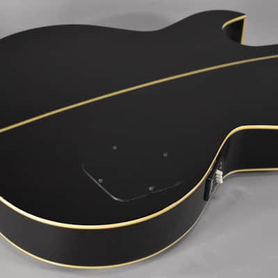 Washburn AB-20 Acoustic-Electric Hollowbody Bass Sunburst w/HSC image 13
