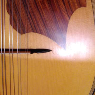 Liuto cantabile (mandocello 5 courses) image 11