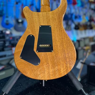 PRS Wood Library Custom 24 Fatback - Custom Color - Quilt 10 Top, Brazilian RW, Paisley Case 293 image 17