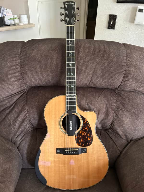 🎸 Larrivée LV-10 (2008) – Boutique Tone, Player’s Price image 1